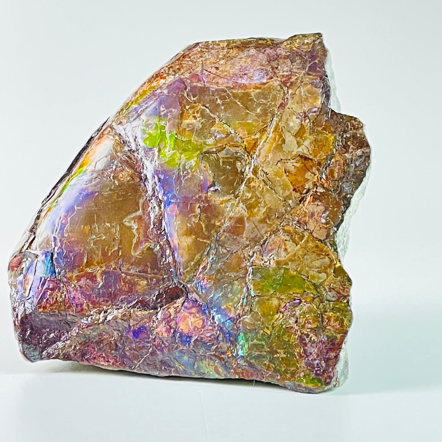 Ammolite Specimen - Rainbow feng shui ammolite display