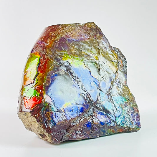 Ammolite Specimen - Rainbow feng shui ammolite display