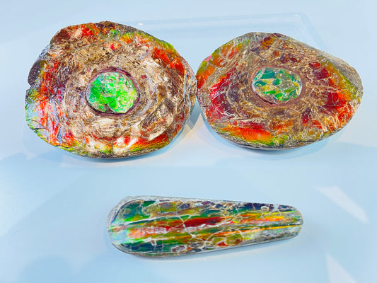 Ammolite Specimen - Rainbow