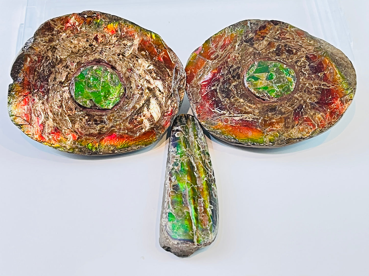 Ammolite Specimen - Rainbow