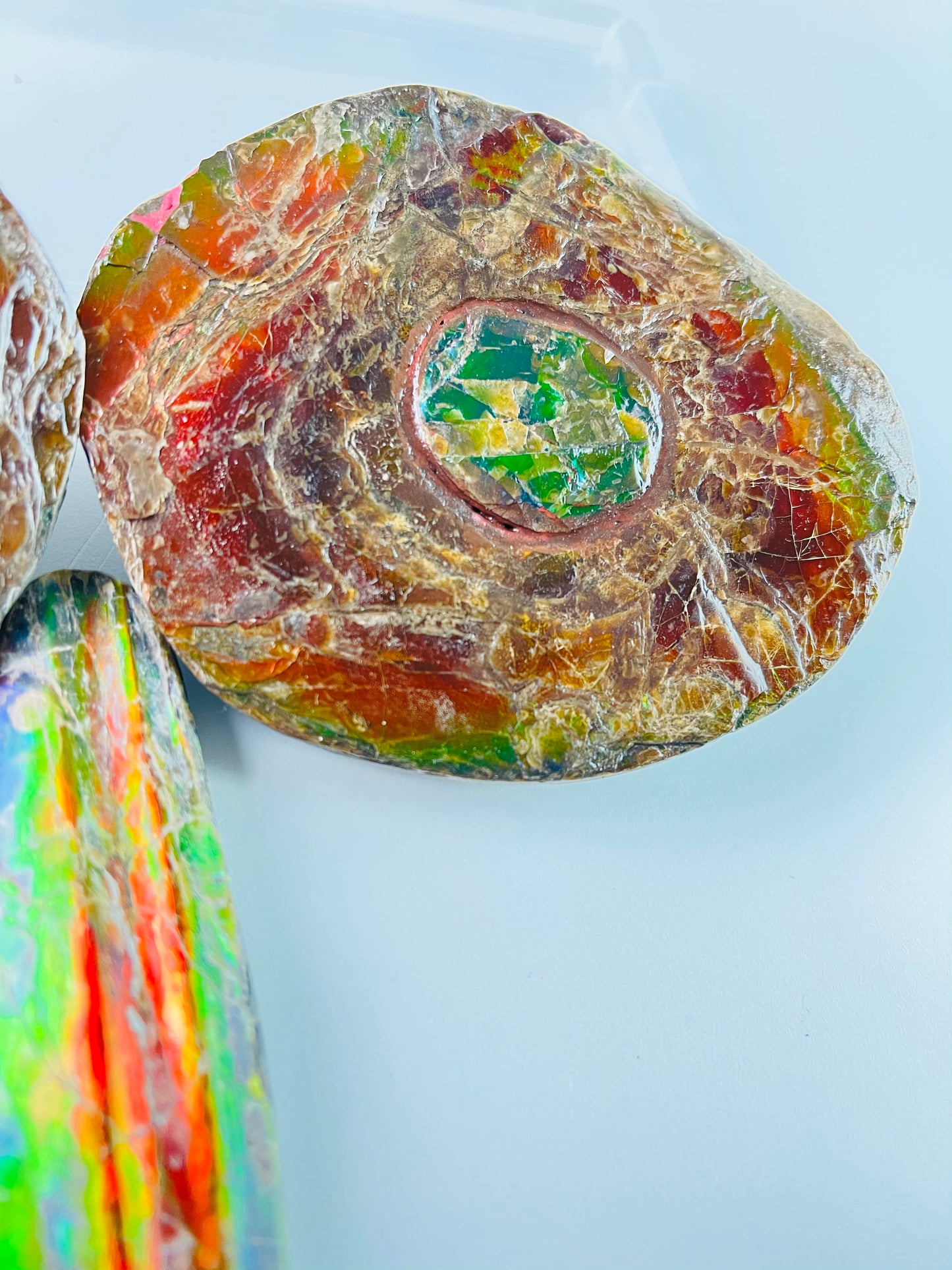 Ammolite Specimen - Rainbow