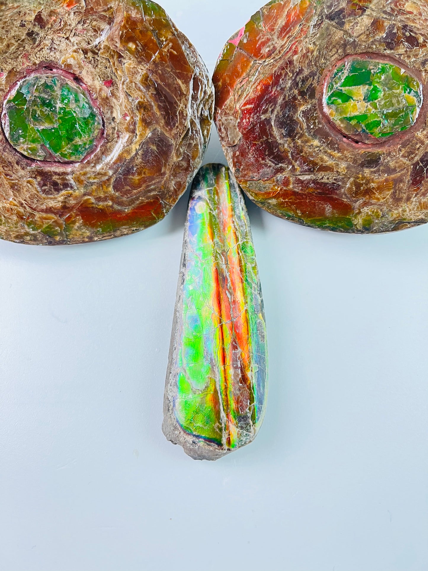 Ammolite Specimen - Rainbow