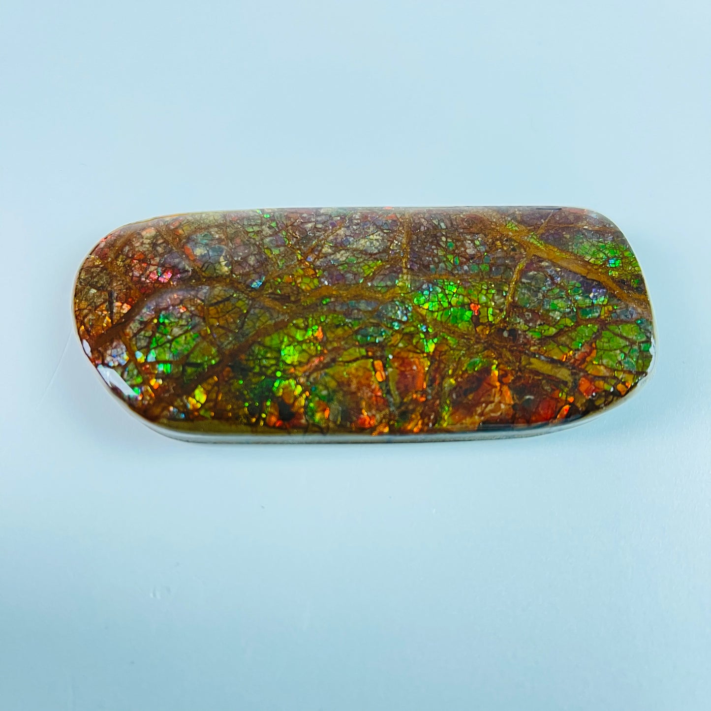 Ammolite