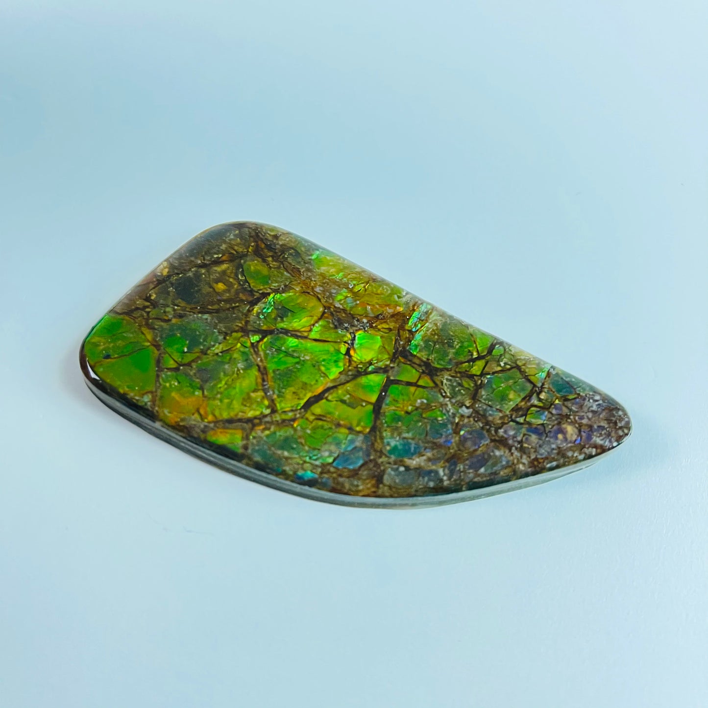 Ammolite