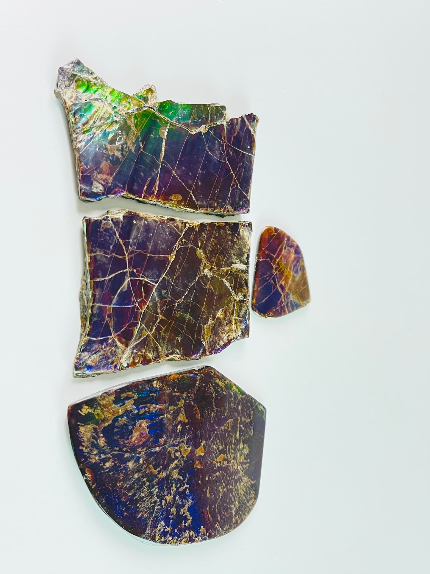 Ammolite