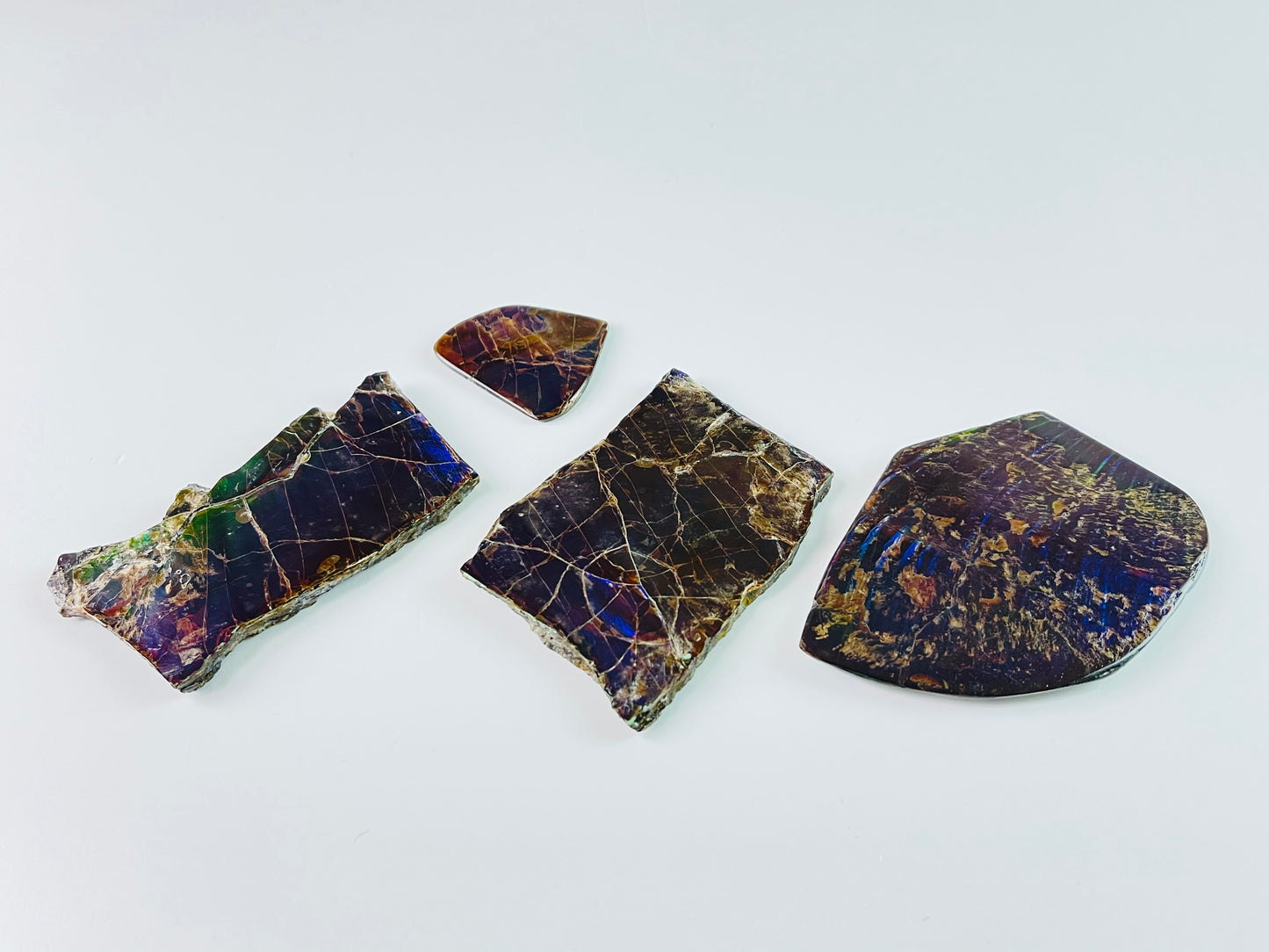 Ammolite