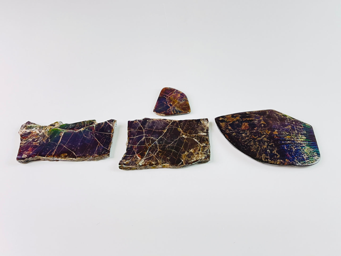 Ammolite