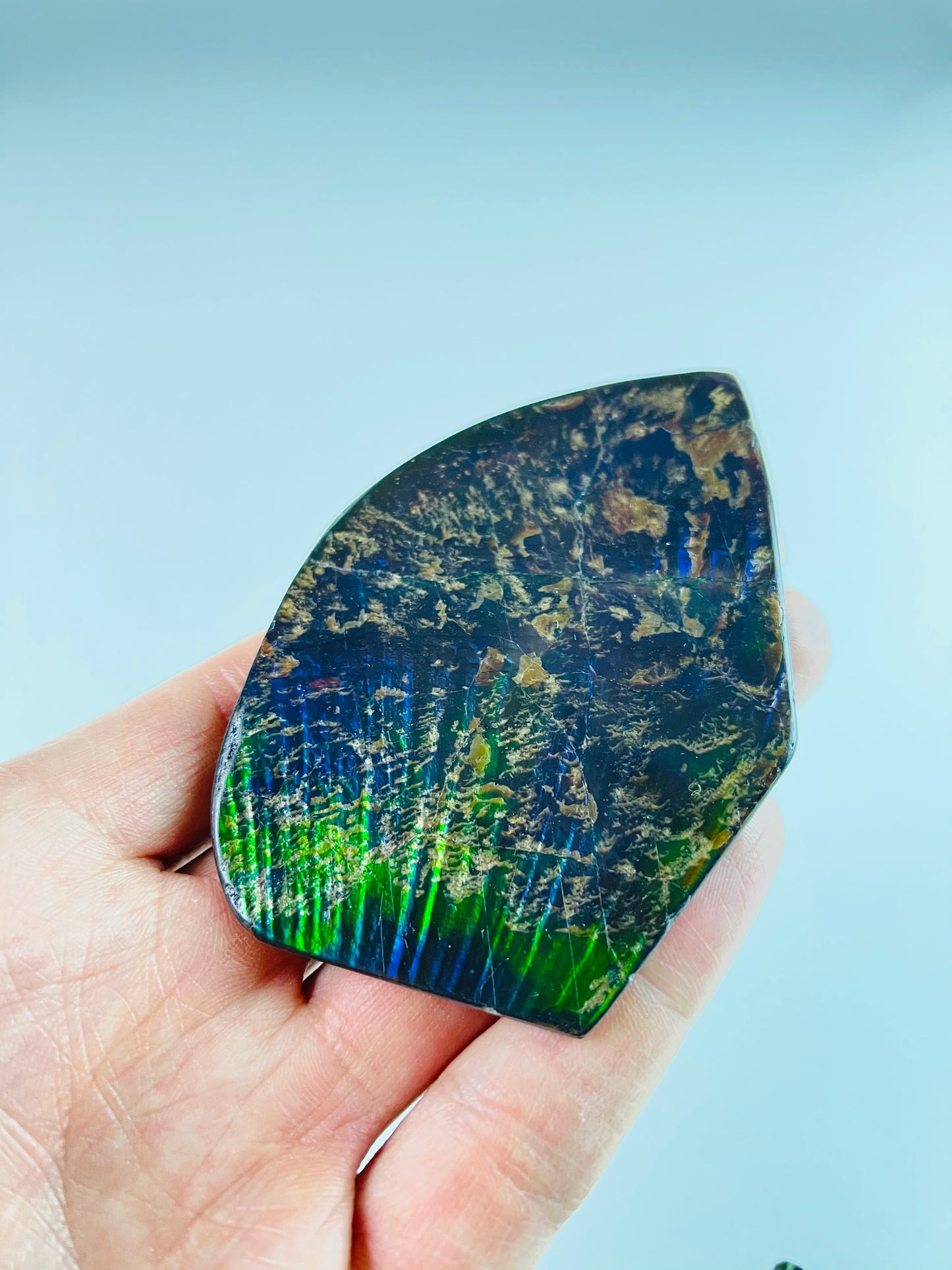 Ammolite