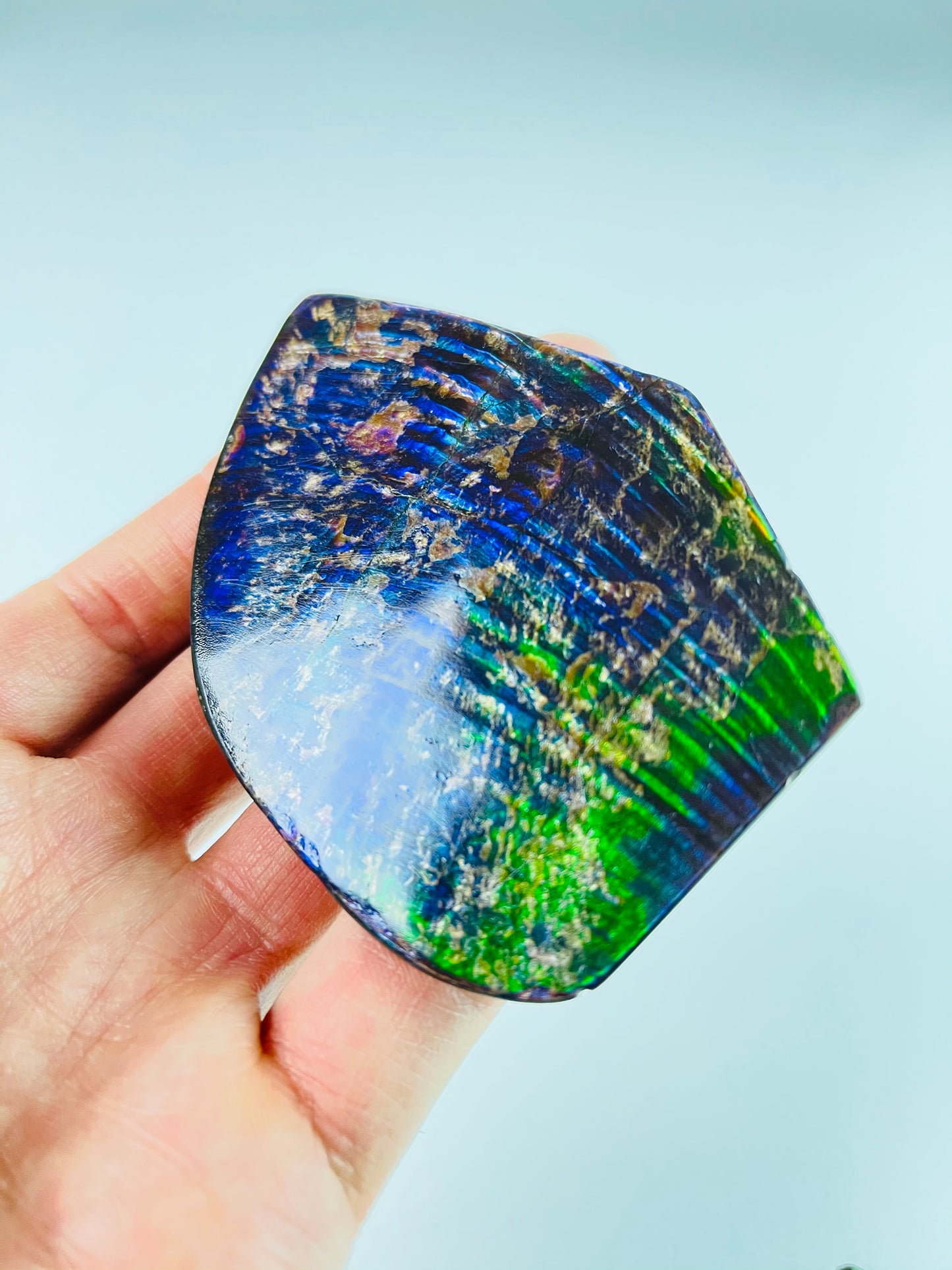 Ammolite