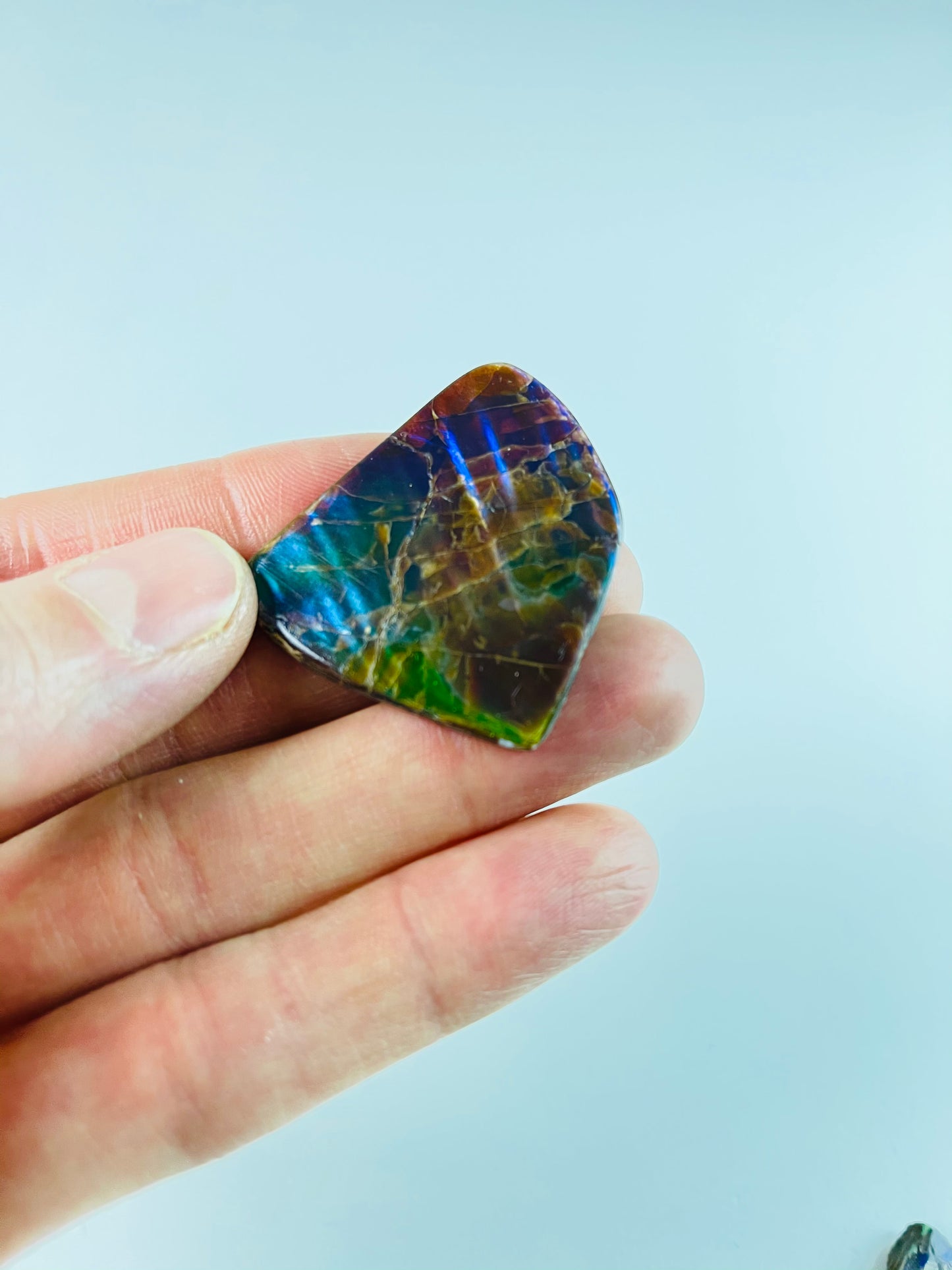 Ammolite