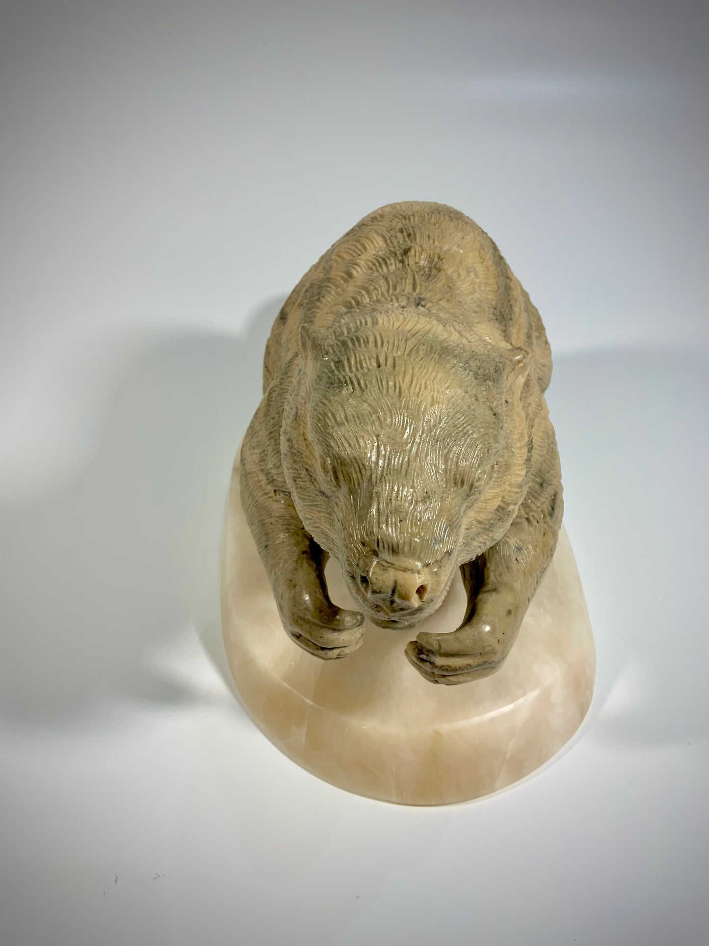 Canadian Beaver Detailed