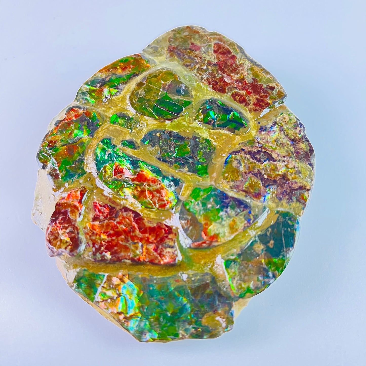 SOLD - Ammolite - Paperweight