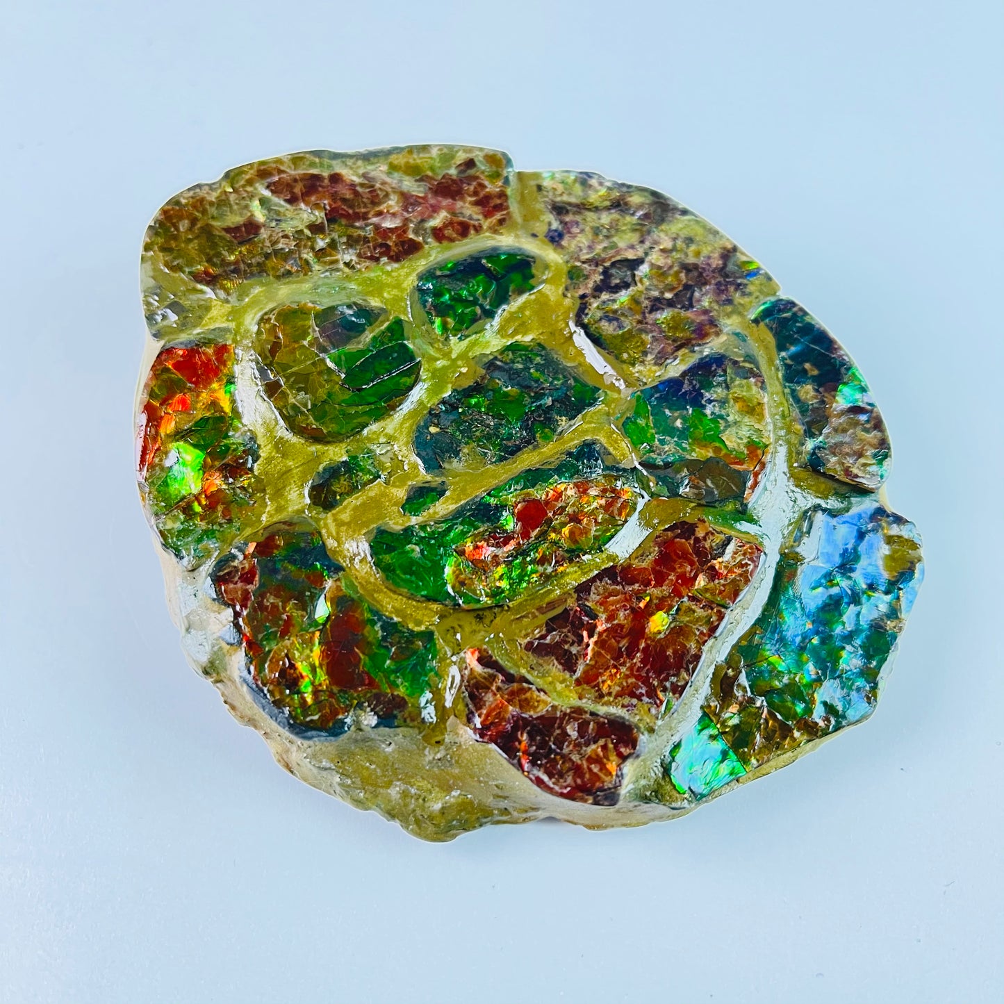 SOLD - Ammolite - Paperweight