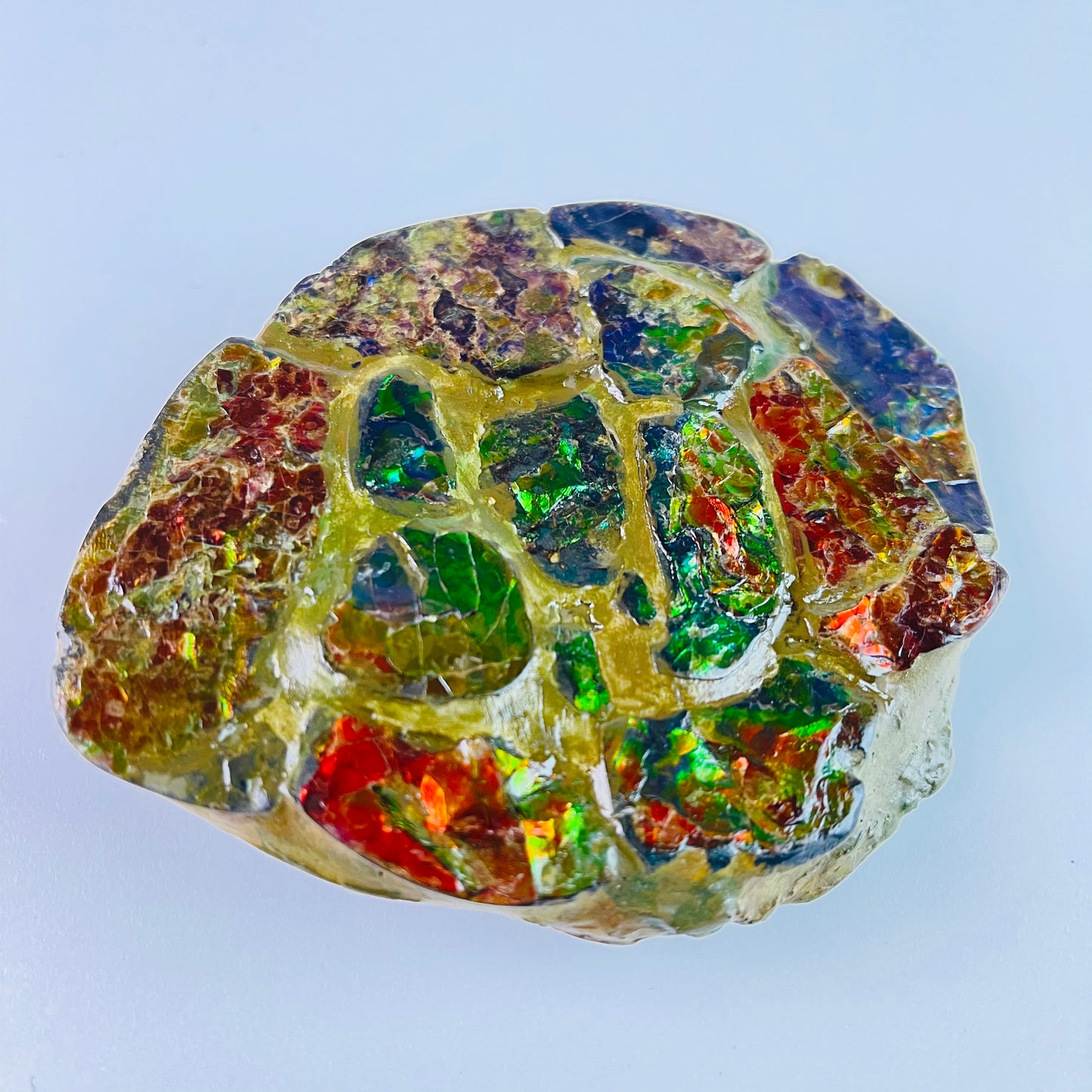 SOLD - Ammolite - Paperweight