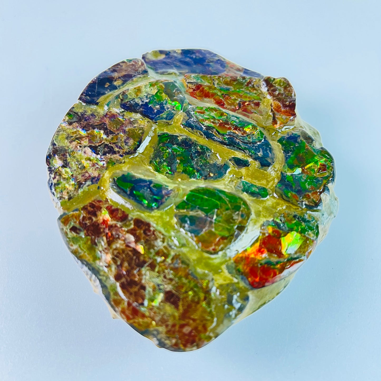 SOLD - Ammolite - Paperweight