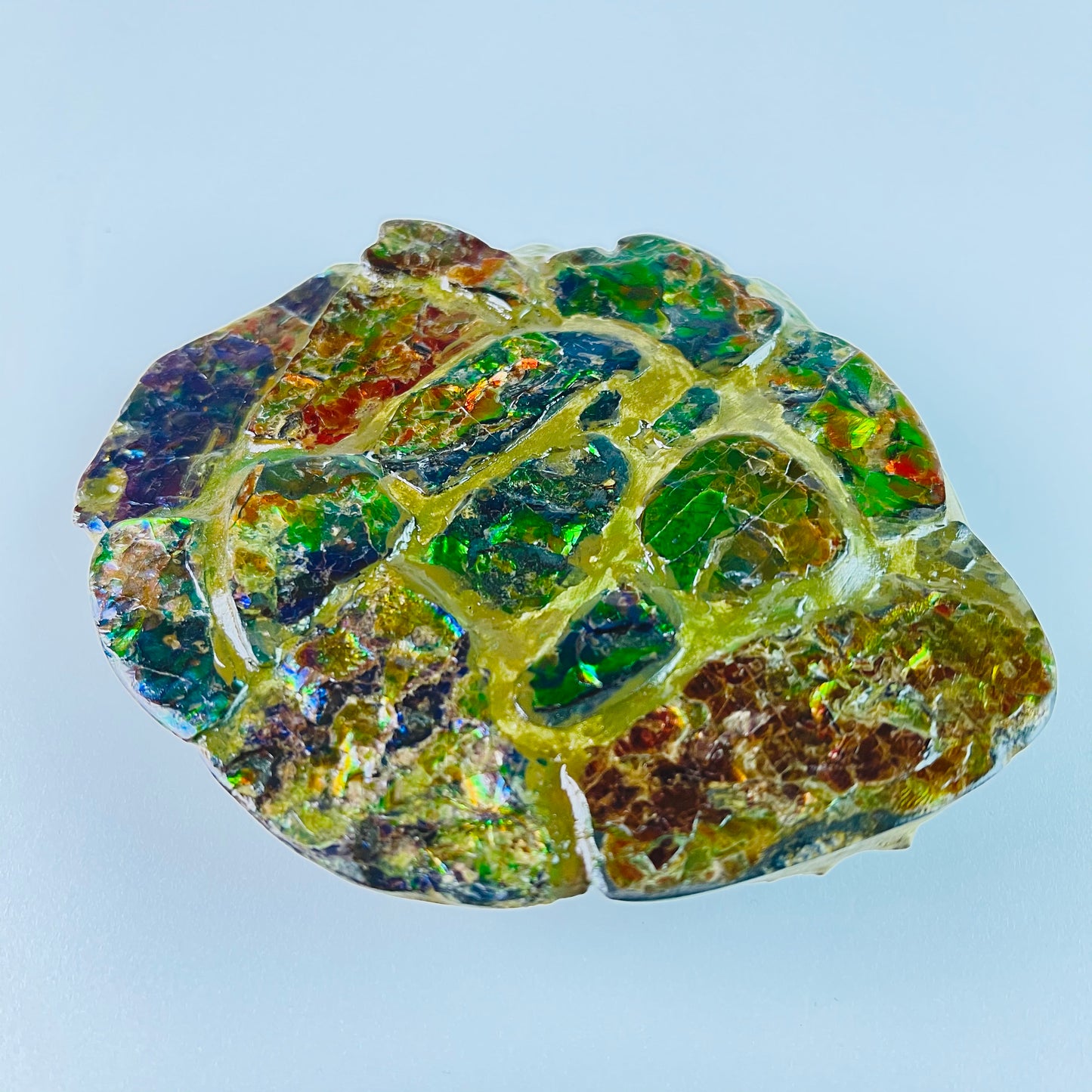 SOLD - Ammolite - Paperweight