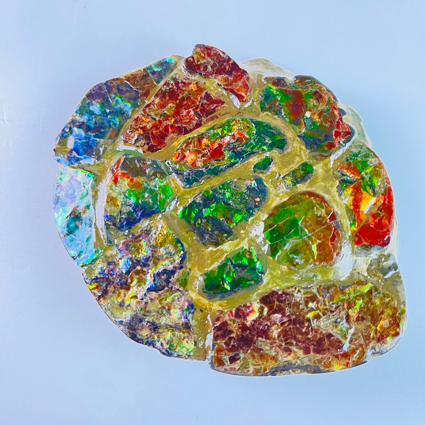 SOLD - Ammolite - Paperweight