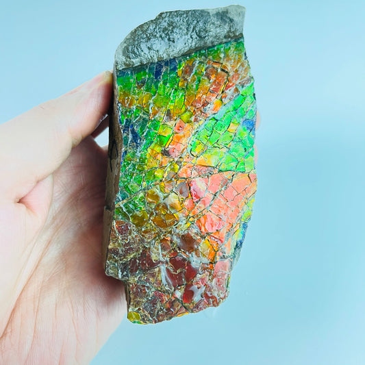 Ammolite - Stained Glass Picture