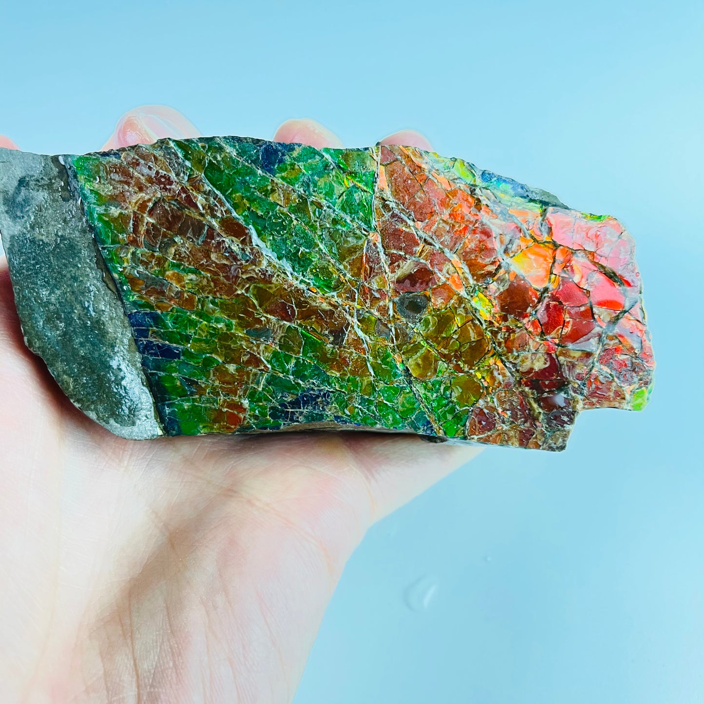 Ammolite - Stained Glass Picture