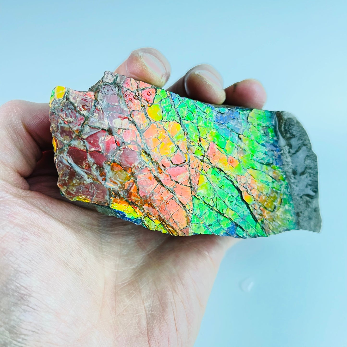 Ammolite - Stained Glass Picture