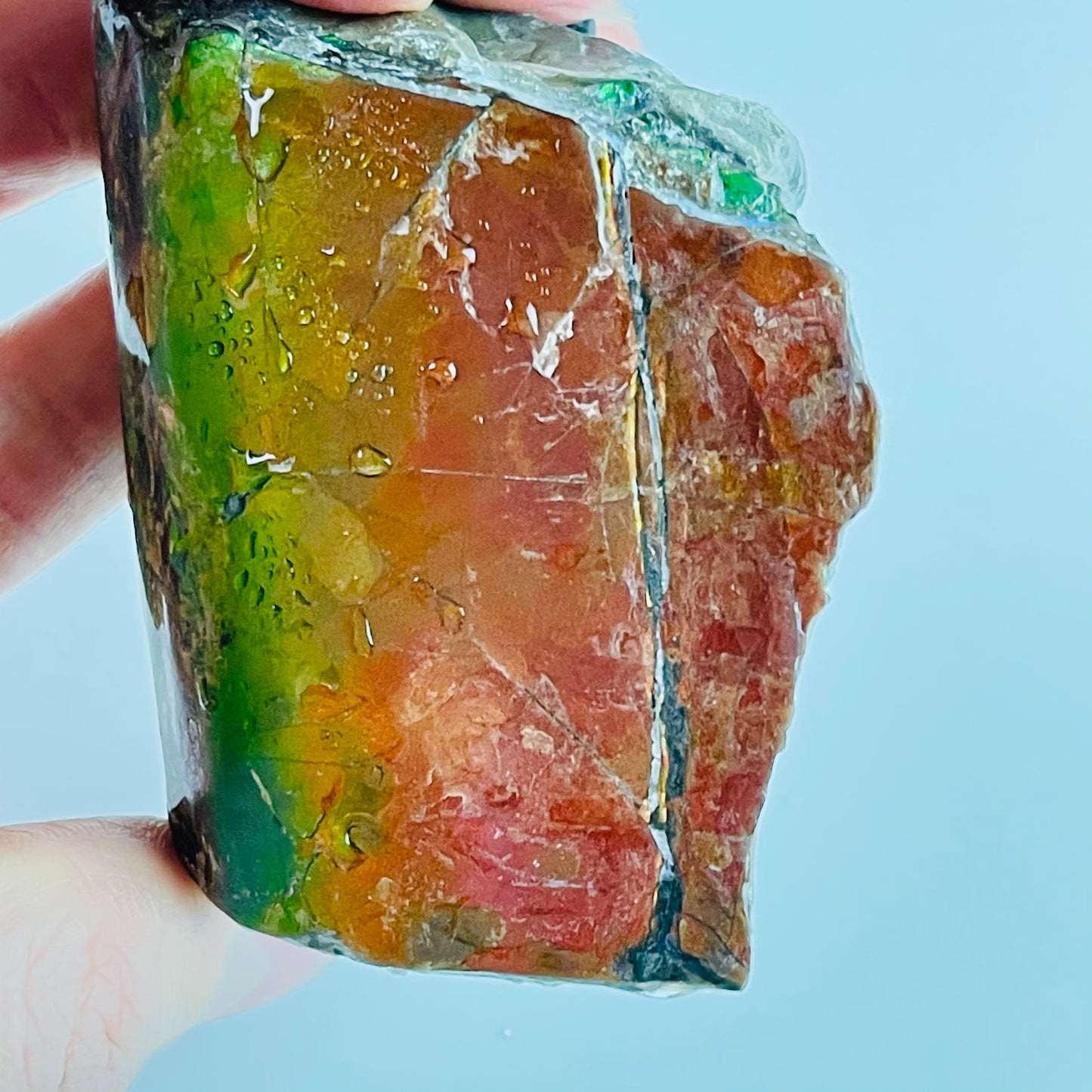 Ammolite