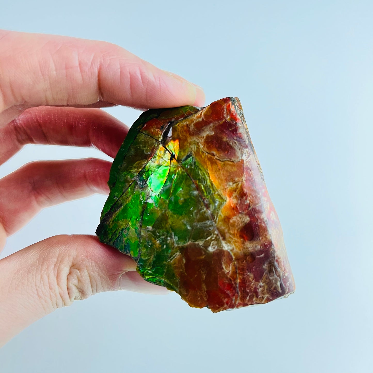 Ammolite