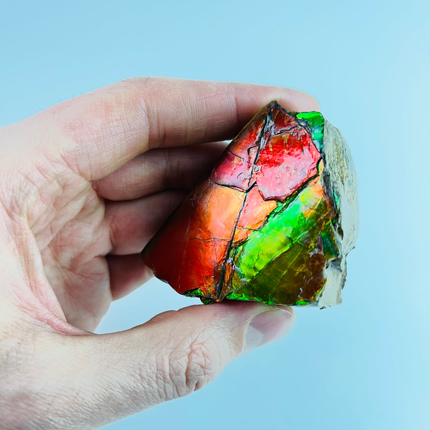 Ammolite