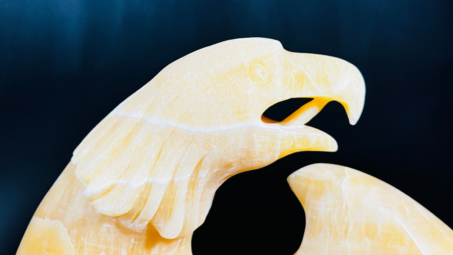 Seafoam Eagle