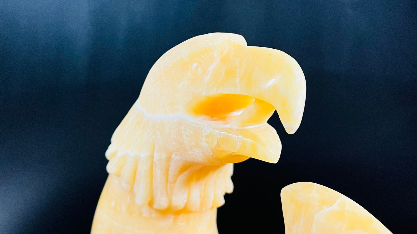 Seafoam Eagle