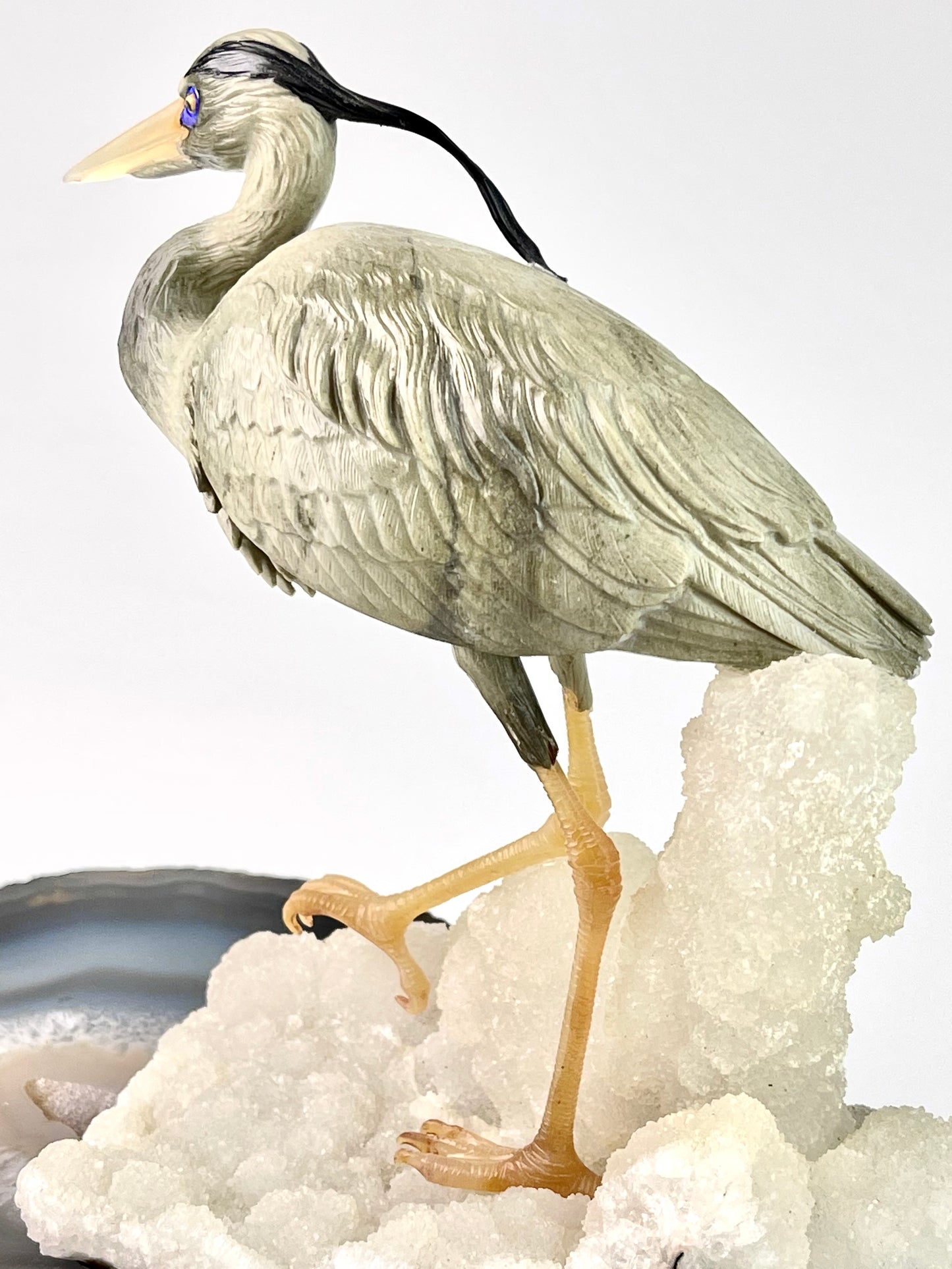 Blue Heron
