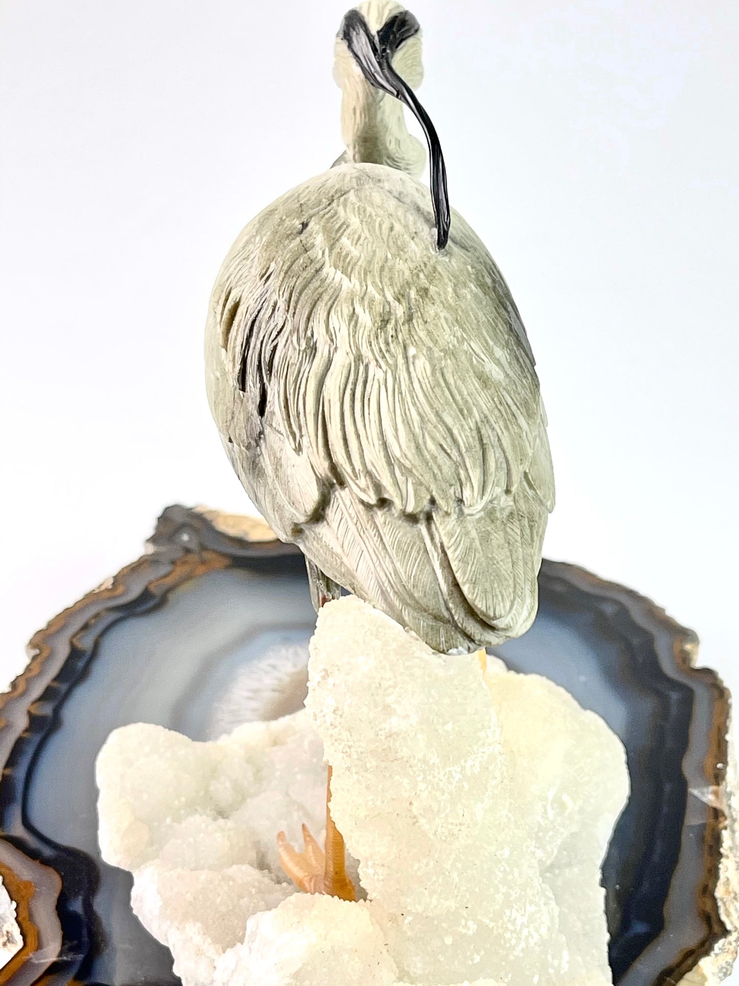 Blue Heron