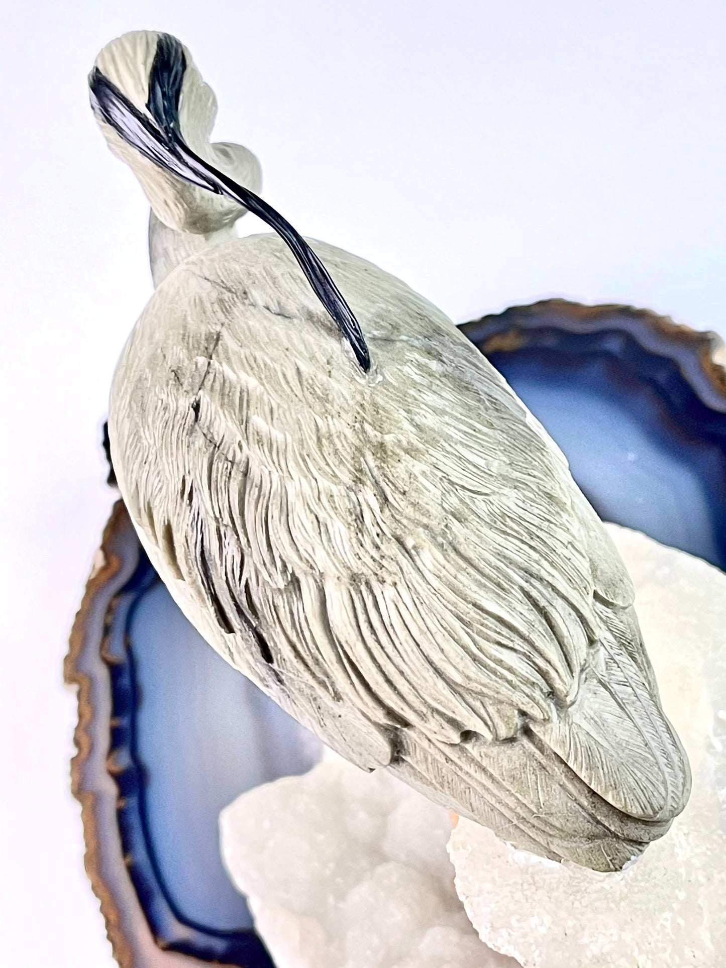 Blue Heron