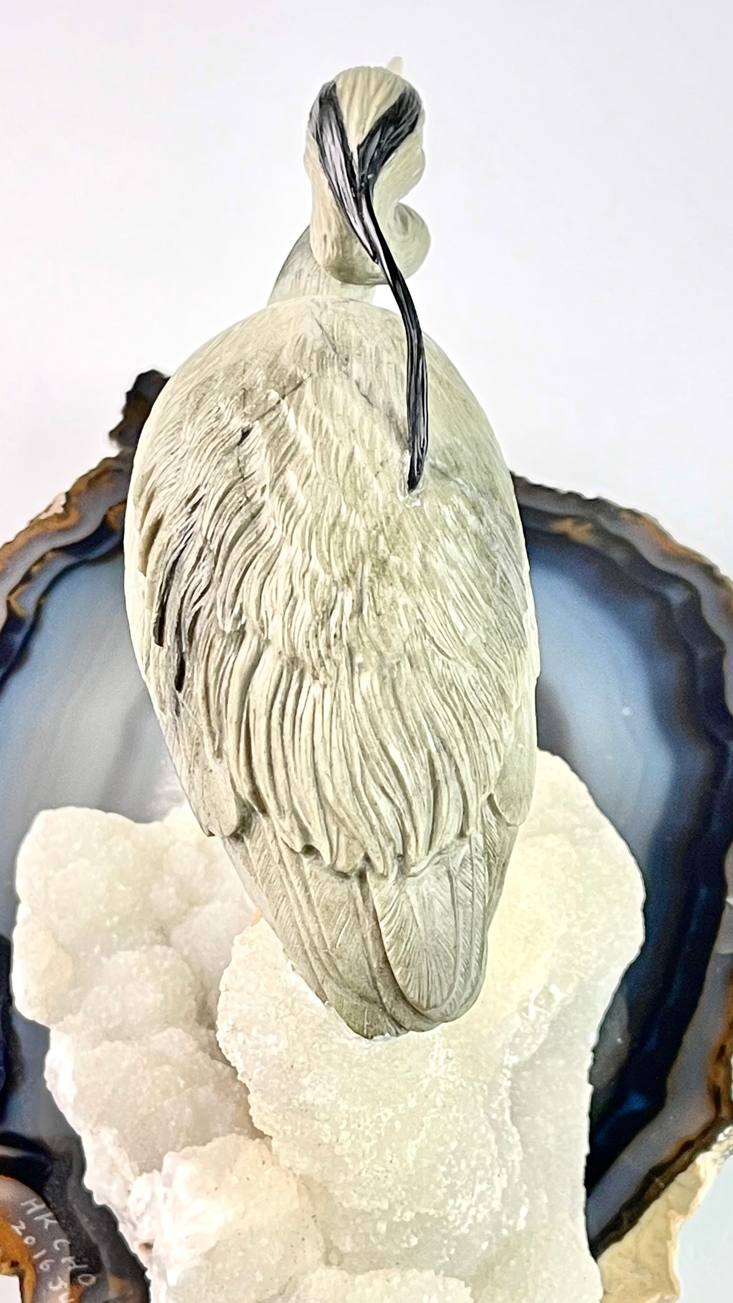 Blue Heron