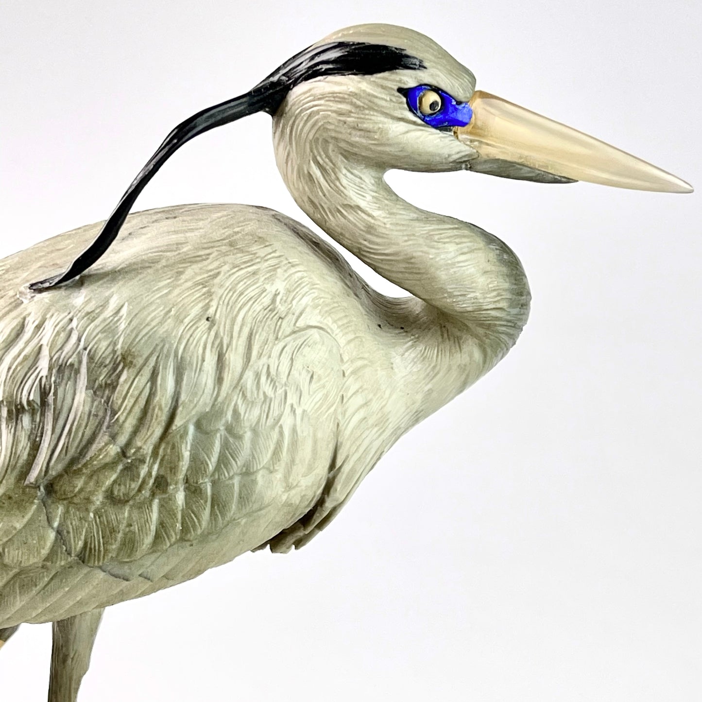 Blue Heron