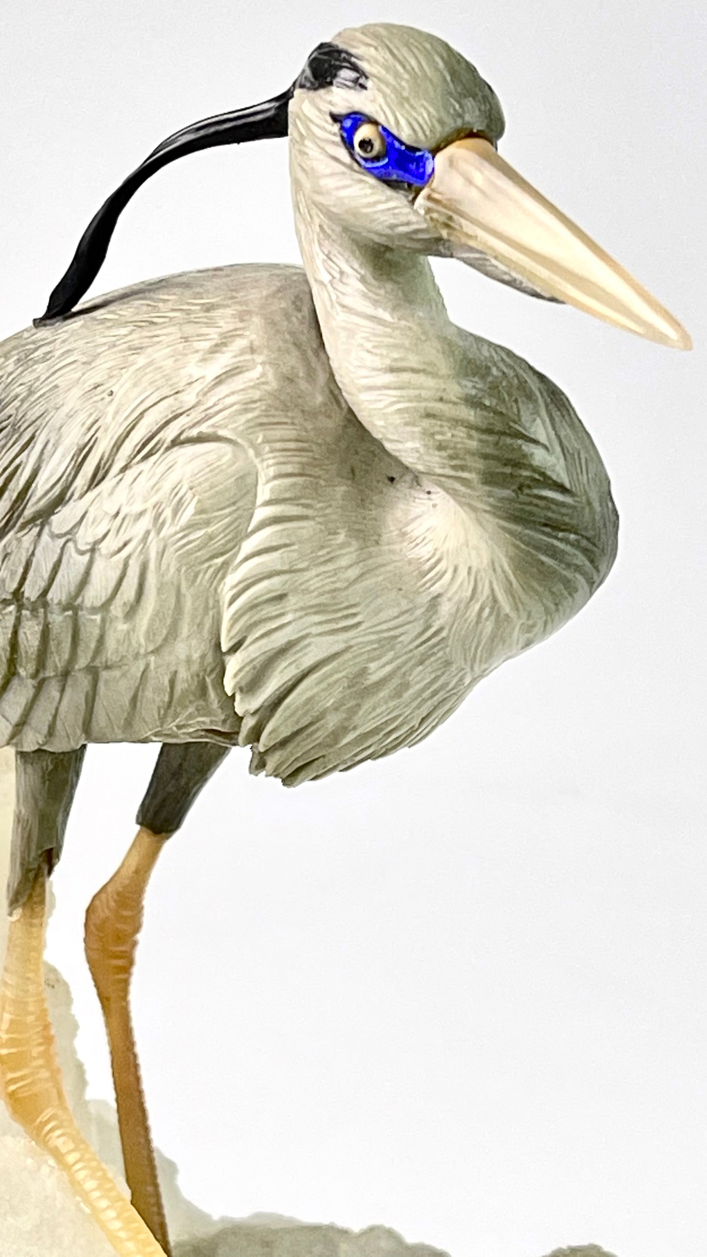 Blue Heron