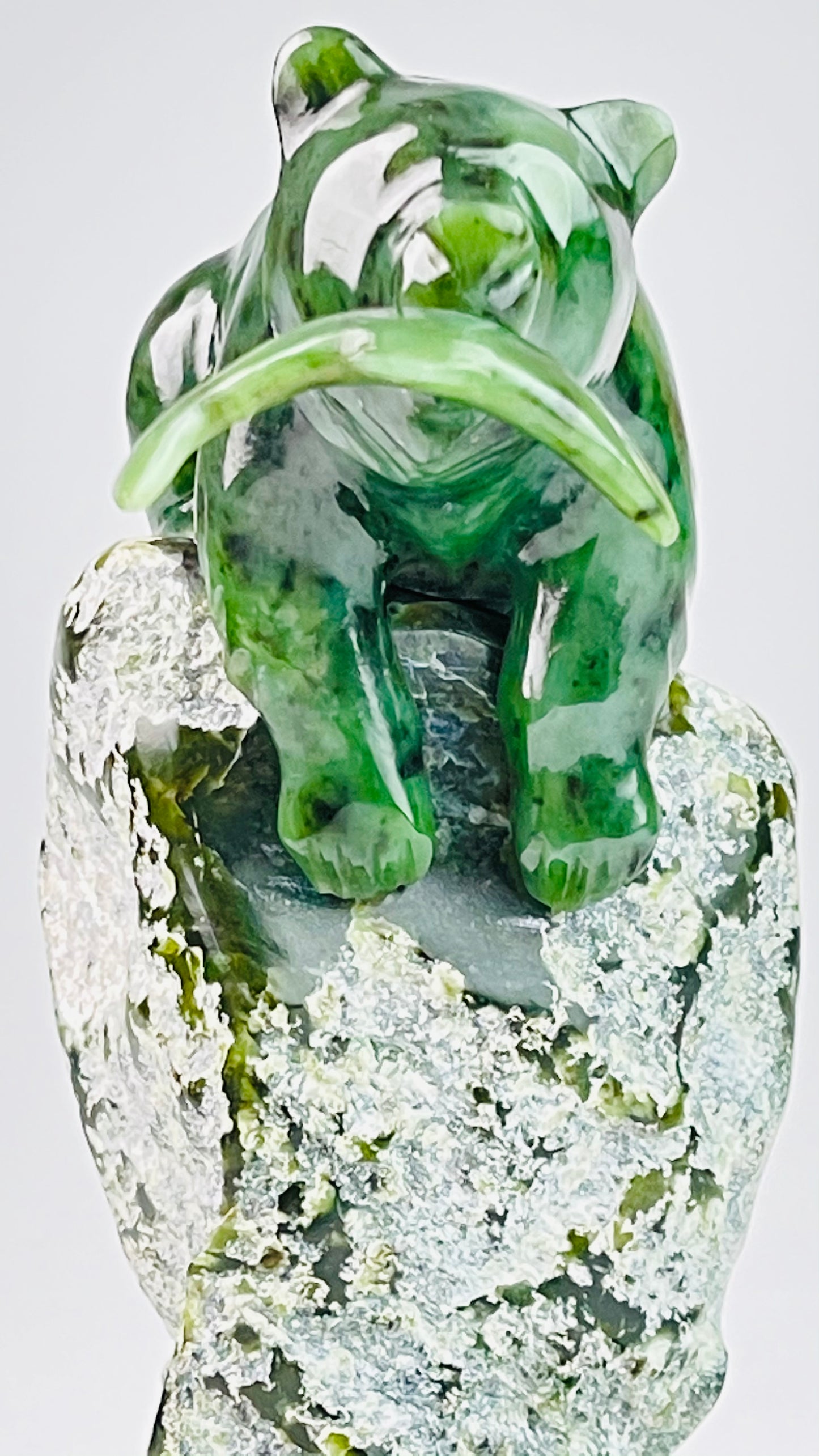 Kutcho Cub