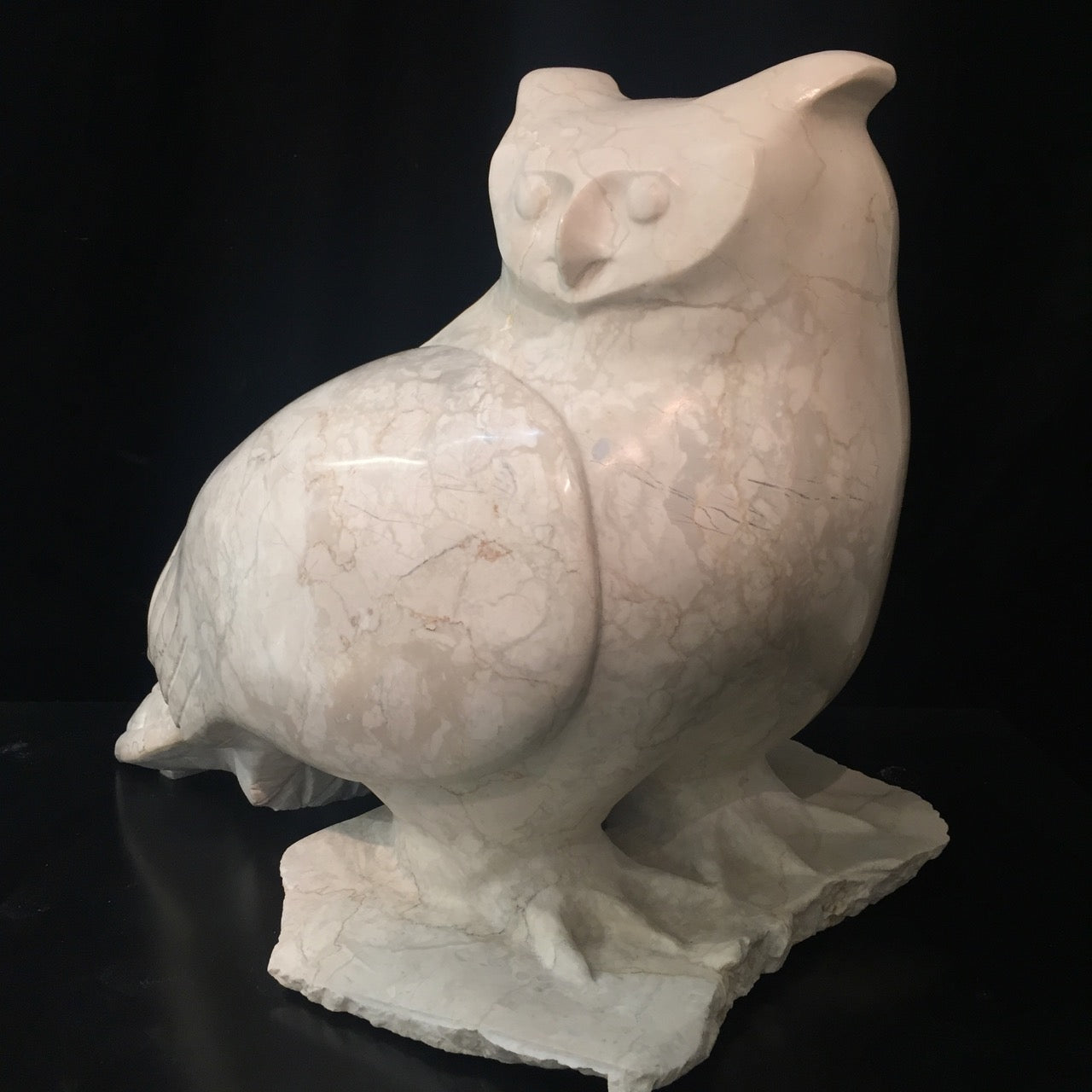 Great Horned Owl