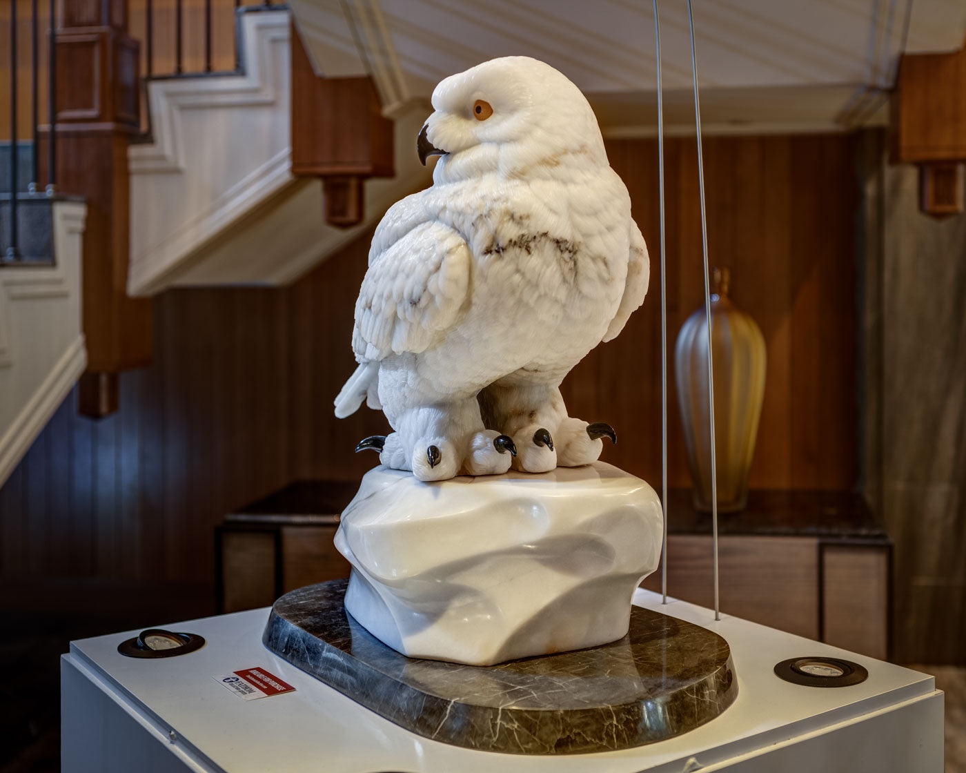 Snowy Owl