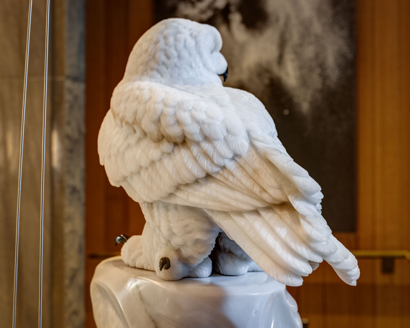 Snowy Owl