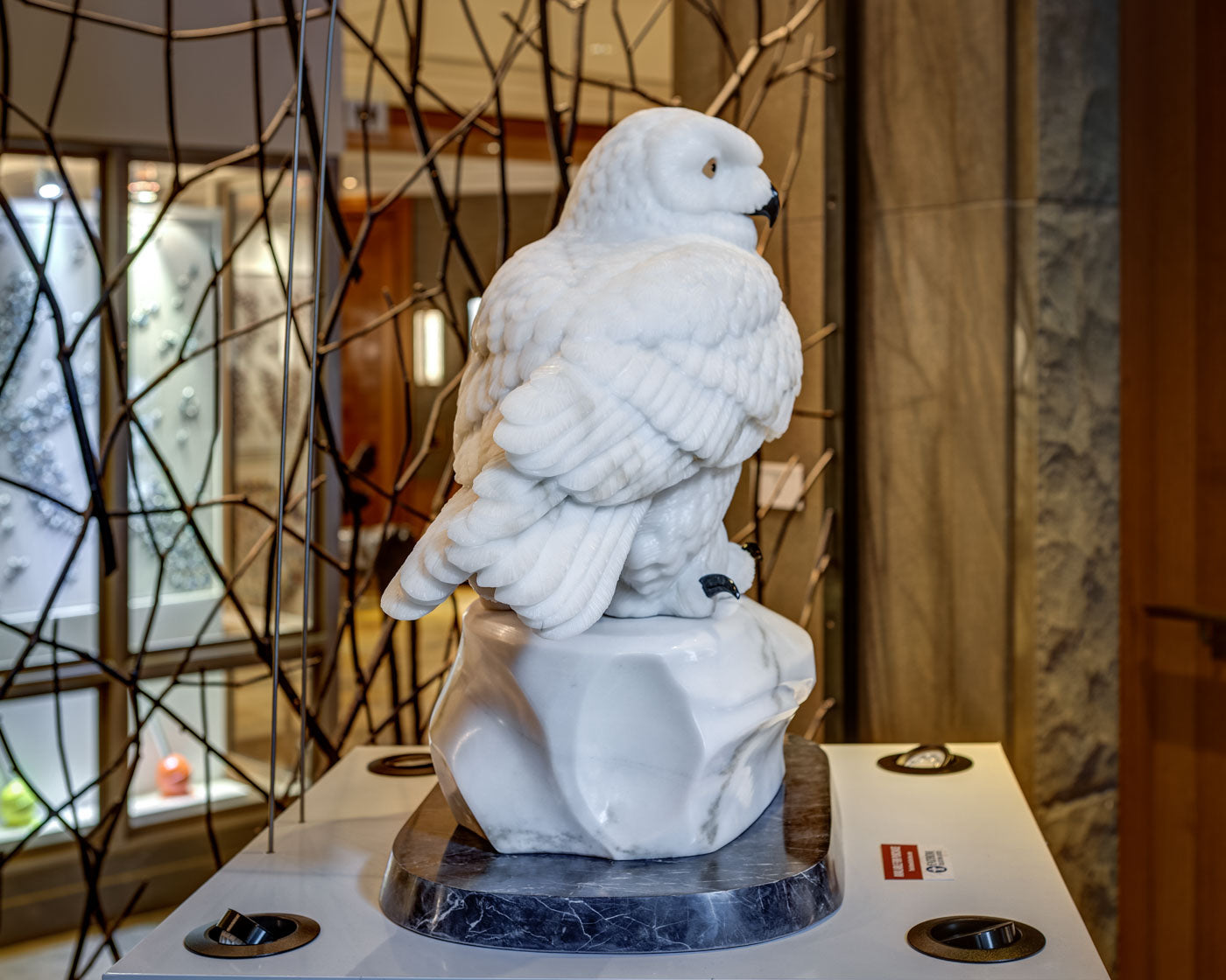 Snowy Owl