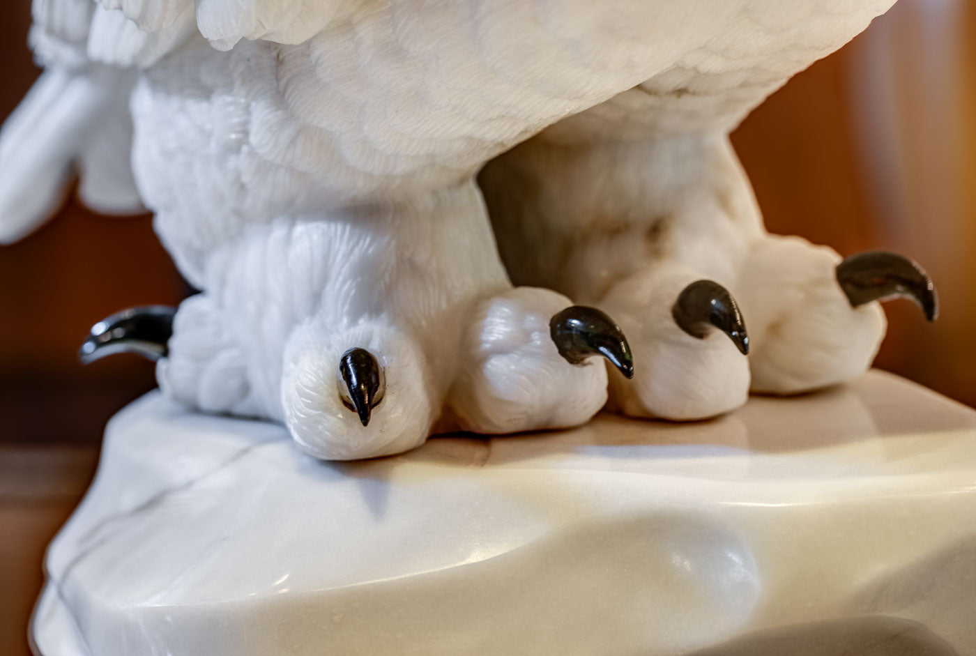 Snowy Owl