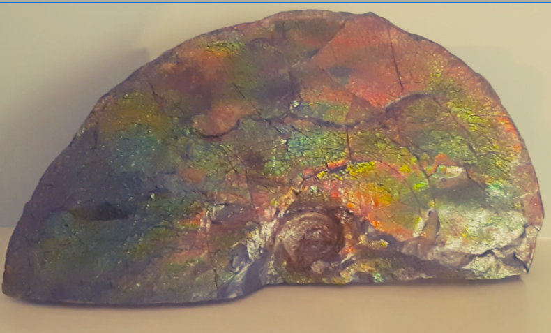 SOLD - Ammolite Fossil - Blue Zone Rainbow Color