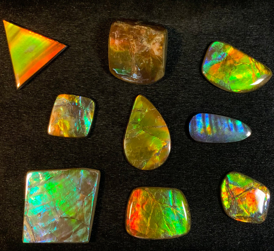 Ammolite Gemstones