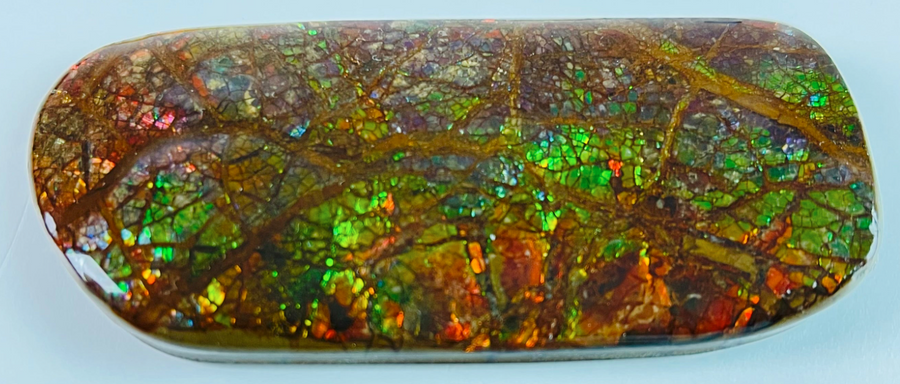 Ammolite Home Jewels