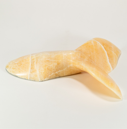 Orca Tail - Golden Onyx