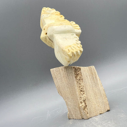 Art Class Medium Carving ~ 4+ Hours