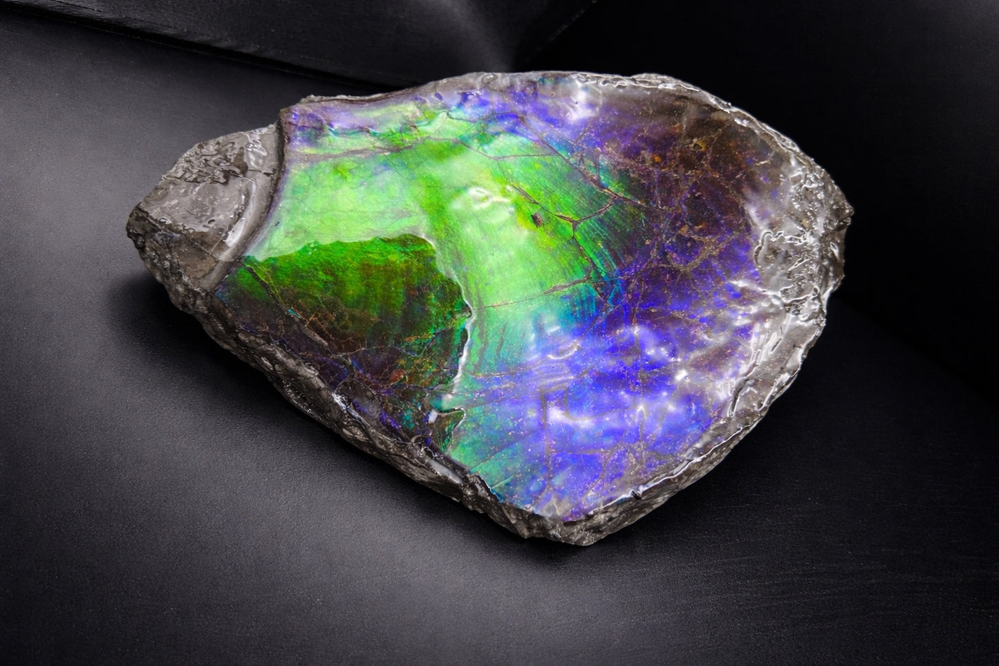 Ammolite 7