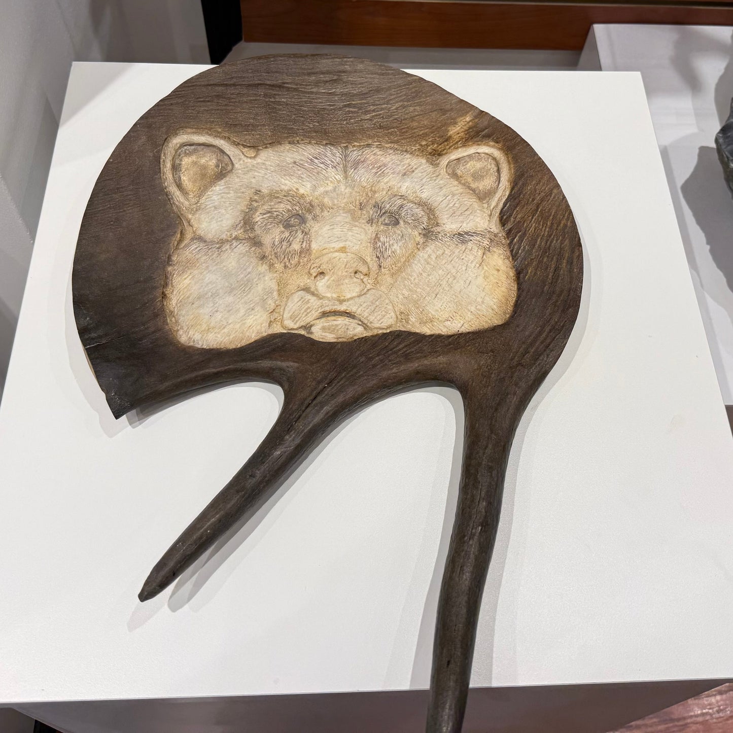 Moose Antler Etching