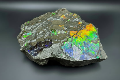 Ammolite 6