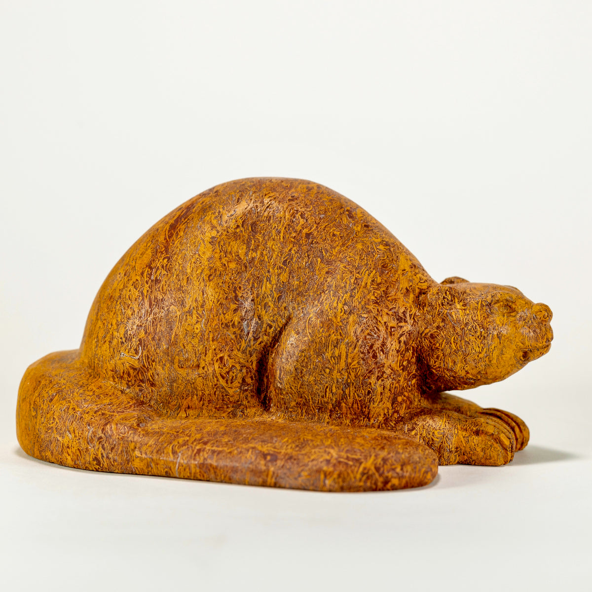 Canadian Beaver